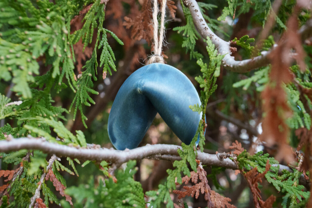 A blue ceramic fortune cookie hangs from a branch by a piece of twine, surrounded by green cedar leaves and soft natural light.