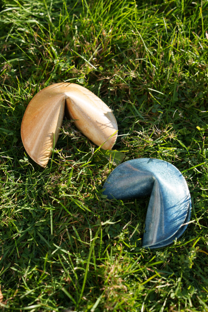 Two ceramic fortune cookies, one golden and one blue, rest on the grass in bright sunlight, surrounded by leaves and natural textures.